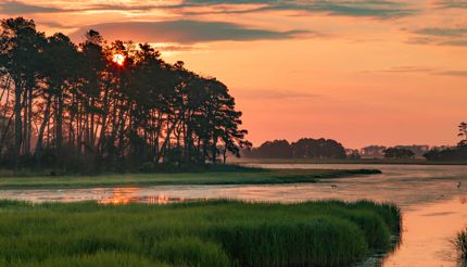 Chincoteague National Wildlife Refuge