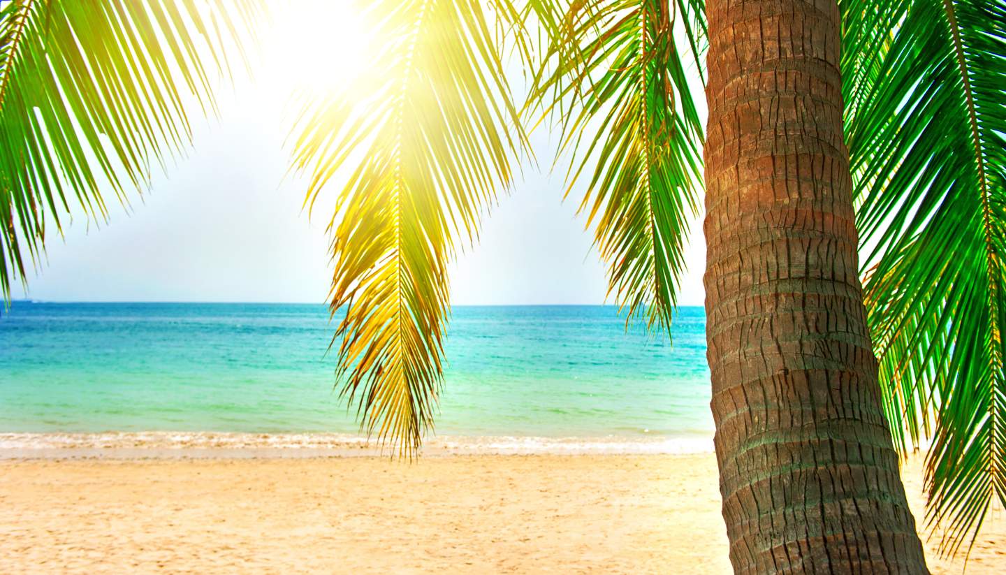The Bahamas: Where beautiful beaches are a given - Tropical beach