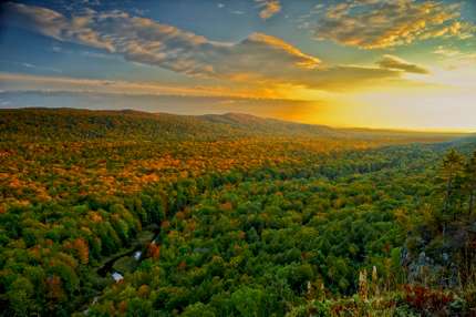 Go on the trail of Bigfoot in Michigan's forestland