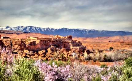 Kalaat M'Gouna, Valley of Roses, Morocco