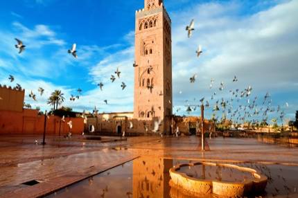 Think-Morocco-Marrakech-KoutoubiaMosque-508212800-mmeee 430