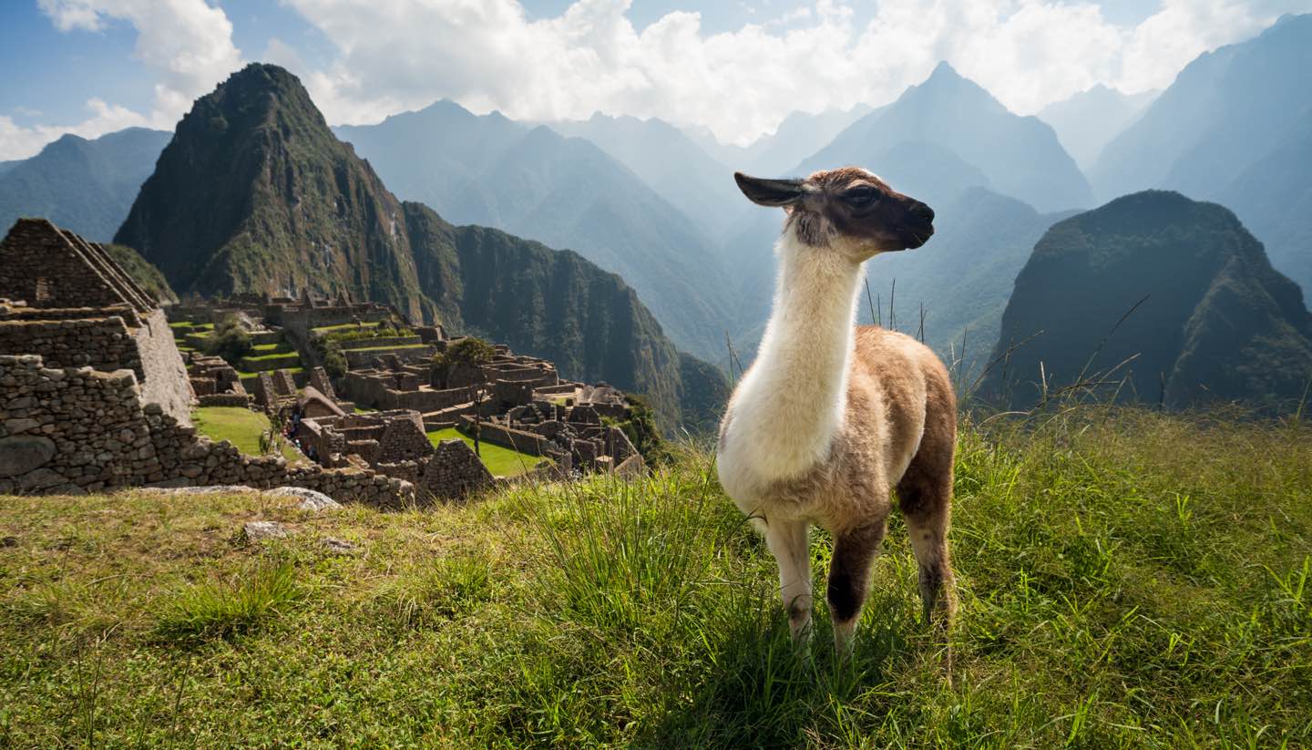 Peru: More than Machu Picchu - Machu Picchu, Peru
