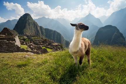 Machu Picchu, Peru