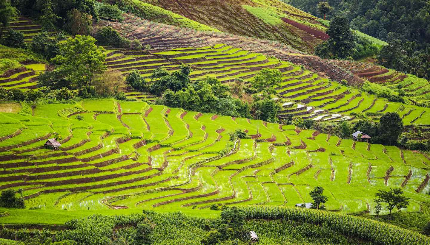 Chiang Mai - Pa Pong Pieng, Chiang Mai, Thailand.