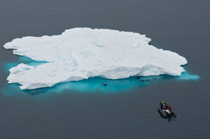 Snorkelling in Antarctica - photo by Karen Hinchliffe