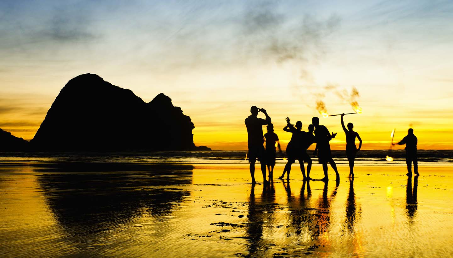 Auckland - Piha Beach Auckland, New Zealand.