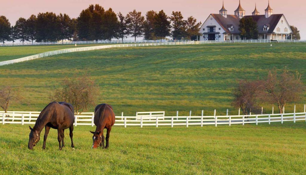 Kentucky - Horse Farm in Kentucky, USA.