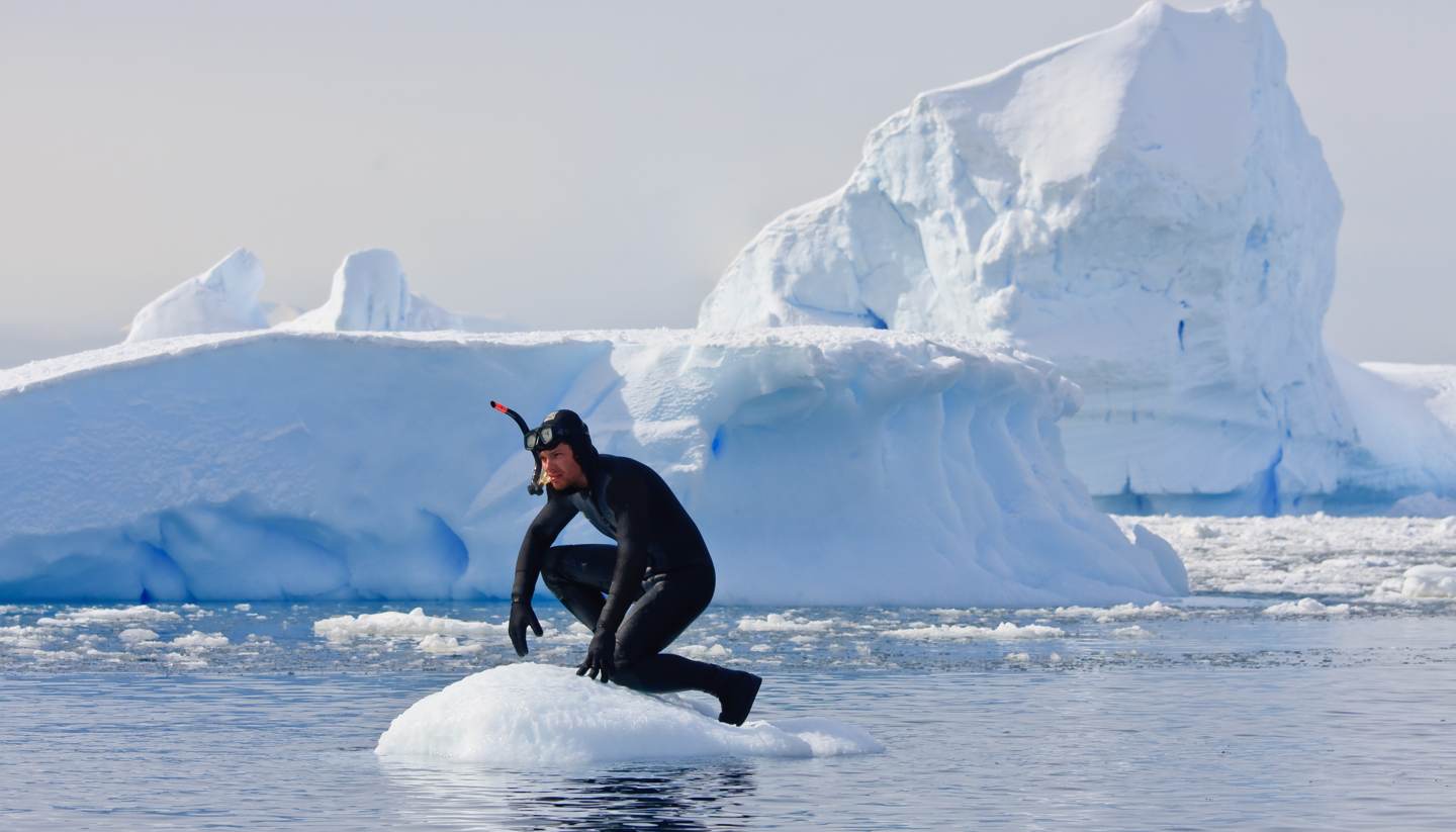 Snorkelling in Antarctica and other wild swims - Snorkelling in Antarctica