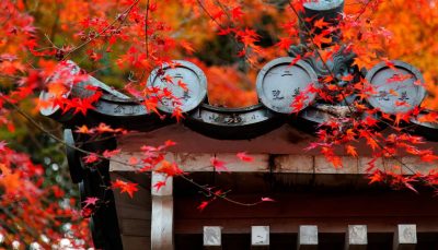 Nison-in Temple in Arashiyama, Kyoto, Japan