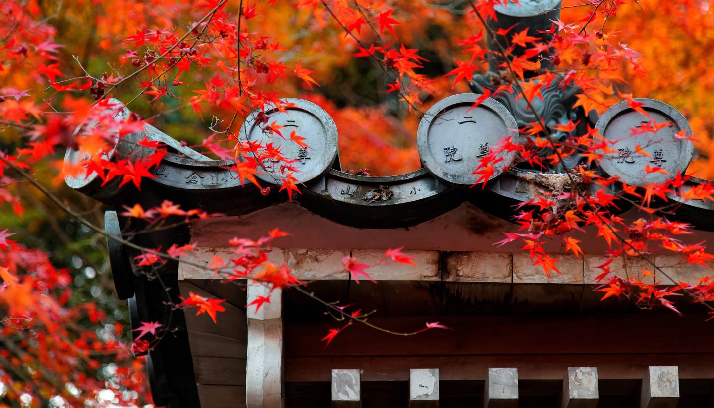 Top 5 places to see autumn foliage in Asia - Nison-in Temple in Arashiyama, Kyoto, Japan