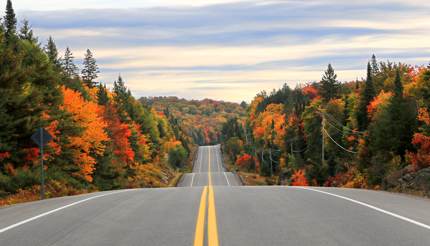 Road through Algonquin Provincial Park