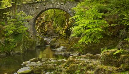 Foley's bridge over Shinma river in Tollymore Forest, Belfast