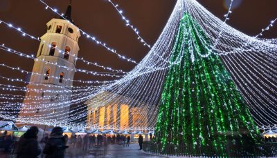 Night view of christmas tree in Vilnius, Lithuania