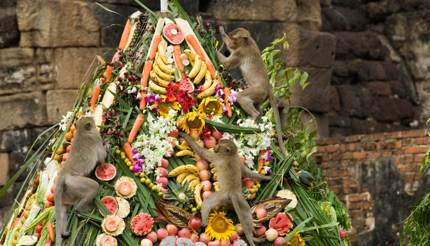 The macaques climbing a pyramid of fruit at the Monkey Buffet Festival