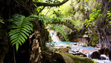 A natural hot pool near the Boling Lake in Morne Trois national park