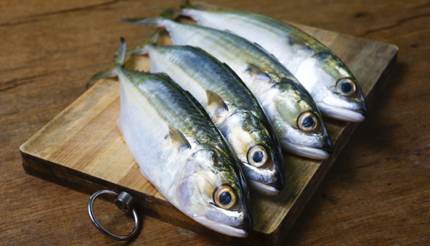 Fresh mackerel for dinner