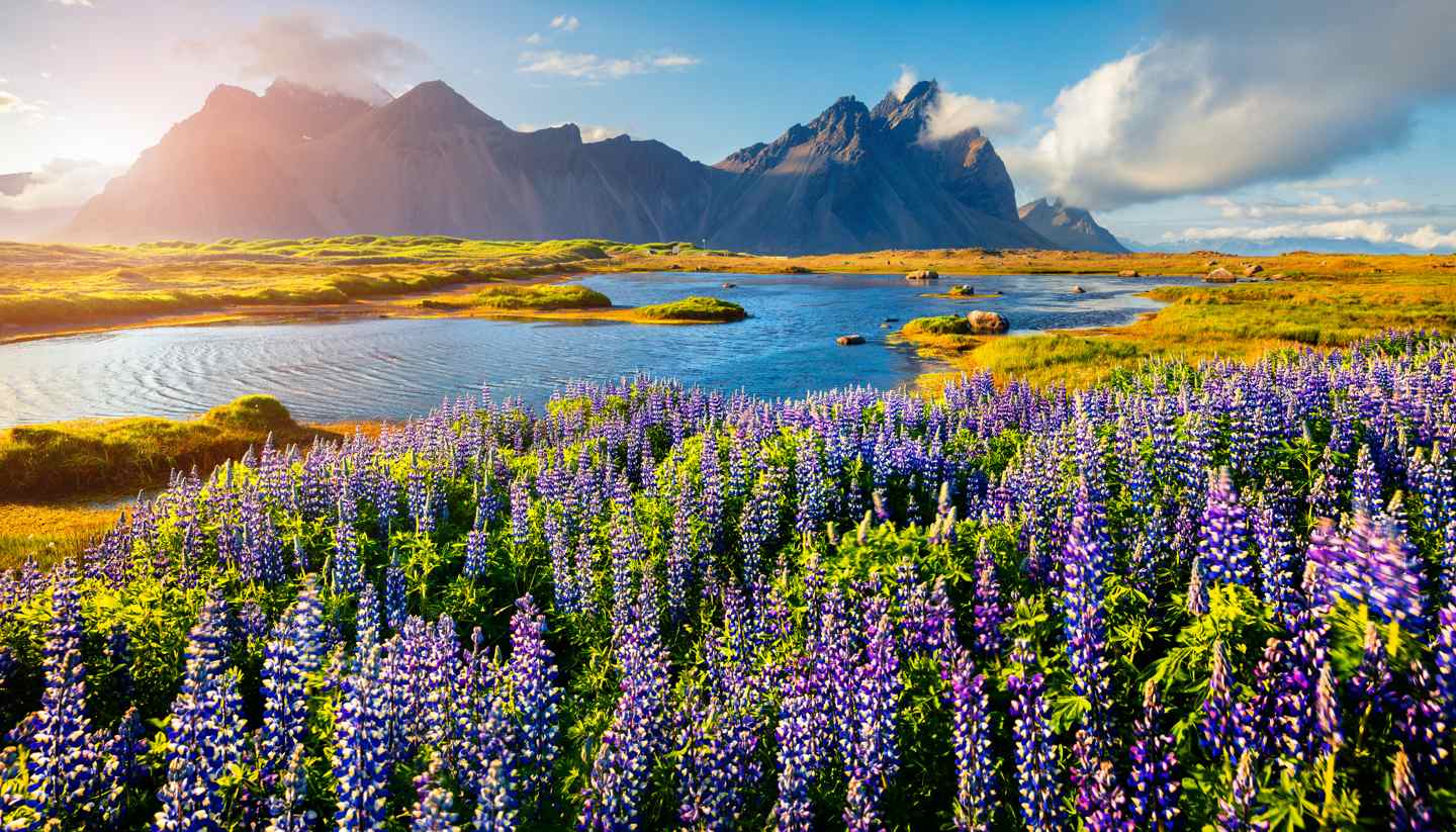 Touchdown in Iceland for an epic adventure - Stokksnes, Iceland