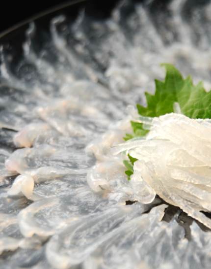 Close up shot of blowfish sashimi