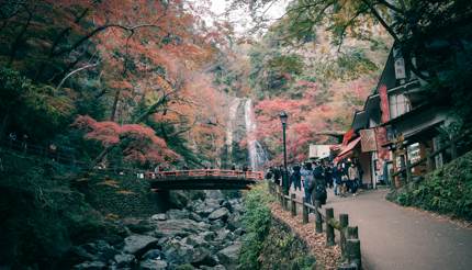 Mino Falls, on the outskirts of Osaka