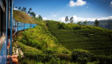 Train to Kandy through Nuwara Eliya