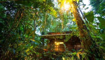 Eco lodge in the rainforest at Puerto Viejo de Talamanca, Costa Rica