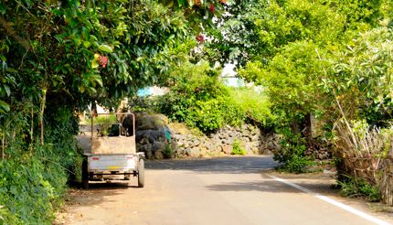 Road with a car