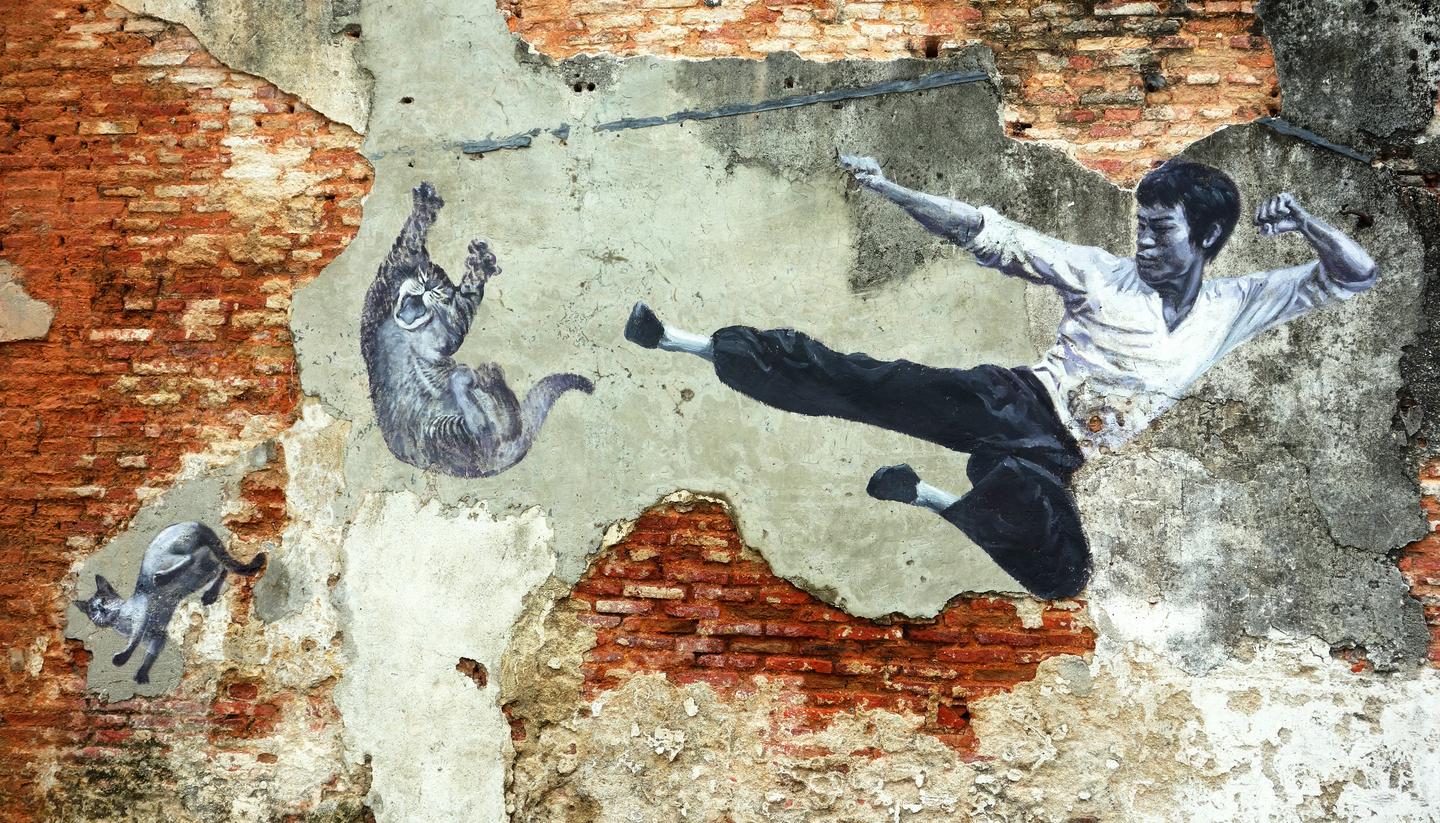 From vandalism to masterpiece: Malaysia’s street art revolution - shu-gen-Bruce-Lee-Street-Art-146284394-1440x823