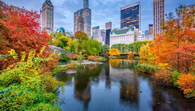 Central Park in Autumn