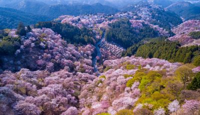 Mount Yoshino, Nara, Japan