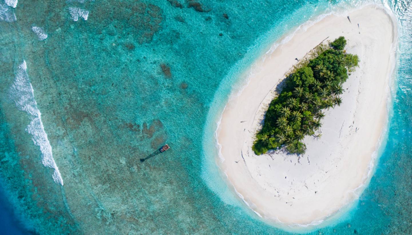 how to build a shelter on a deserted island