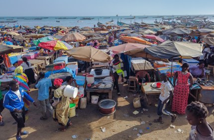 The fish market in Soumbédioune, Senegal