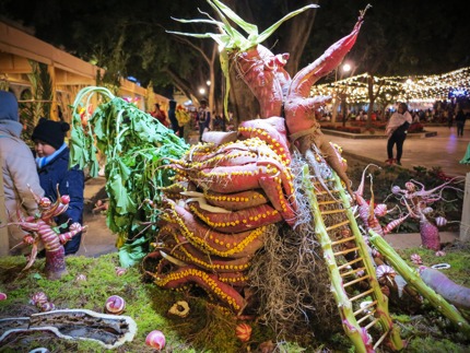 Night of the Radishes in Oaxaca