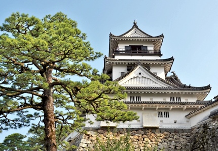 Kochi Castle