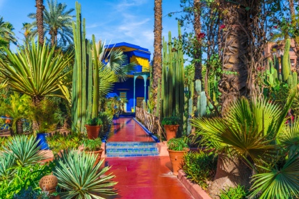 Le Jardin Majorelle