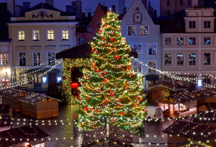 Tallinn puts up a magnificent Christmas tree every year