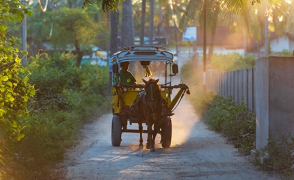 A horse-drawn carriage on Gili